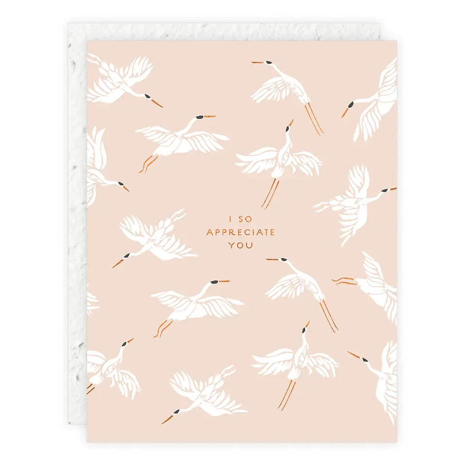 Seedlings I So Appreciate You - Thank You Card