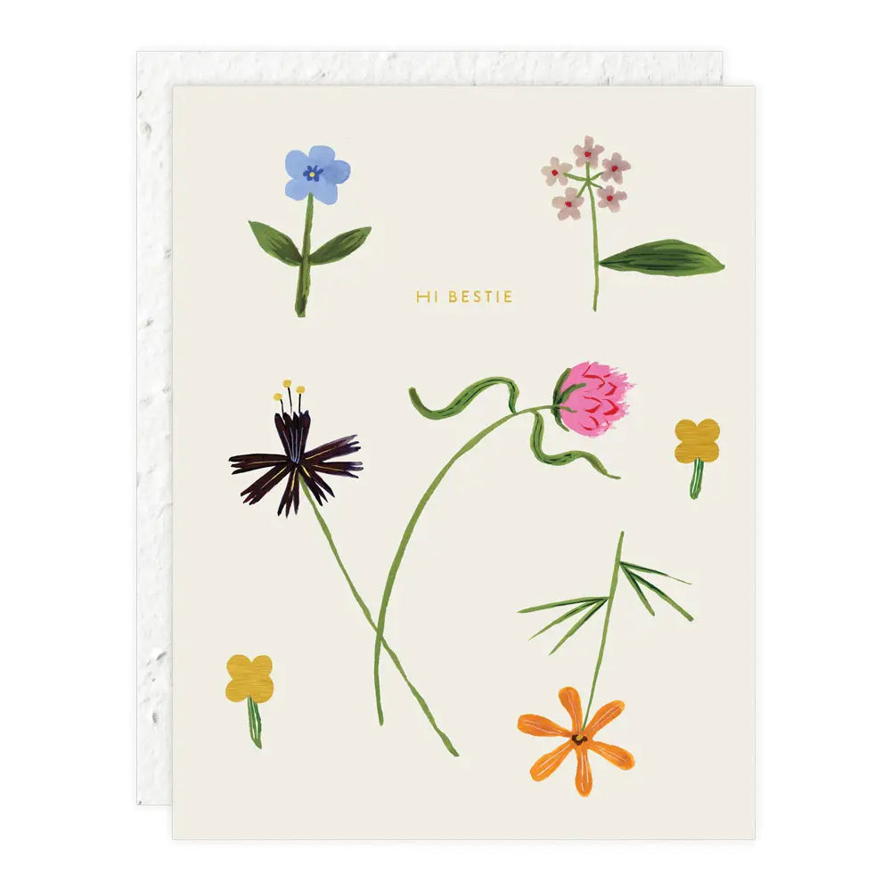Seedlings Quirky Petals - Just To Say Hi Card
